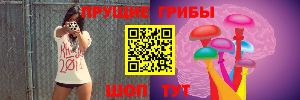 Псилоцибиновые грибы прущие грибы Баксан